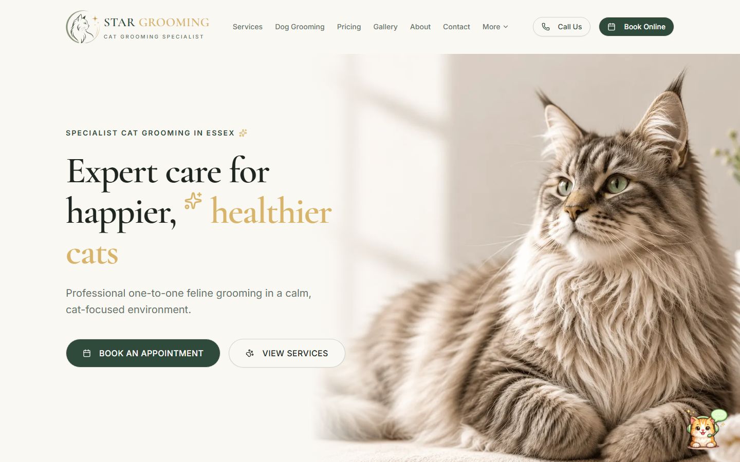 Star Grooming cat grooming website